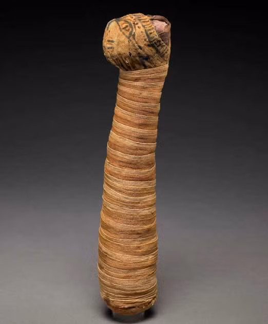 Tương tự cá sấu, mèo được người Ai Cập tôn sùng vì nó được cho là tượng trưng của nữ thần mèo Bastet.