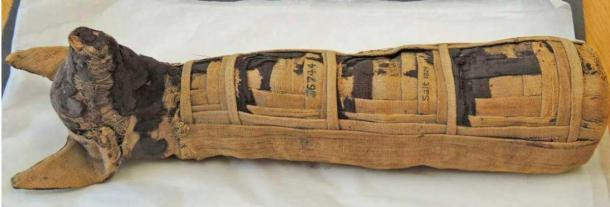 Hàng ngàn xác ướp chó được các nhà khảo cổ tìm thấy ở nhiều nơi trên lãnh thổ Ai Cập, bao gồm Thebes.