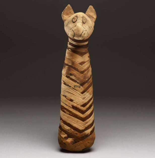 Theo tín ngưỡng của người Ai Cập cổ đại, mèo là loài vật linh thiêng và thường được ướp xác để dâng hiến cho vị thần trên.