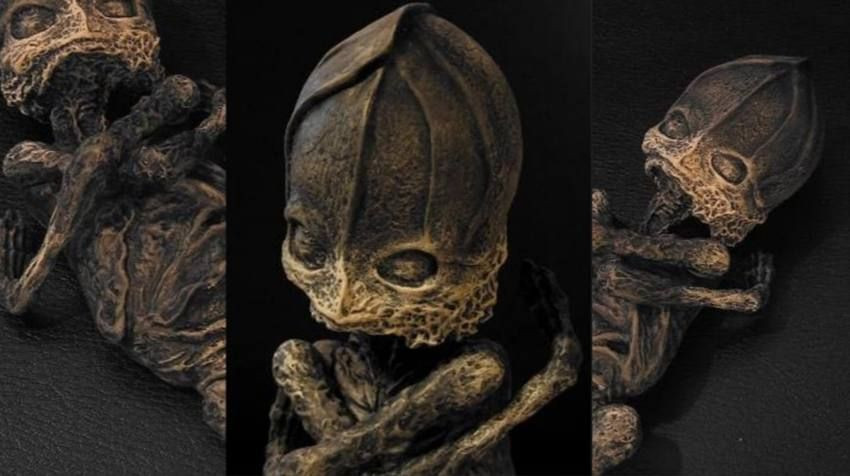 Cuối cùng, sinh vật bí ẩn được giao cho những người nghiên cứu UFO rồi không rõ tung tích. Theo đó, đến nay, các nhà khoa học vẫn chưa thể xác định đó có thực sự là xác người ngoài hành tinh hay không.