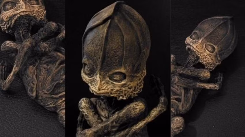 Cuối cùng, sinh vật bí ẩn được giao cho những người nghiên cứu UFO rồi không rõ tung tích. Theo đó, đến nay, các nhà khoa học vẫn chưa thể xác định đó có thực sự là xác người ngoài hành tinh hay không.