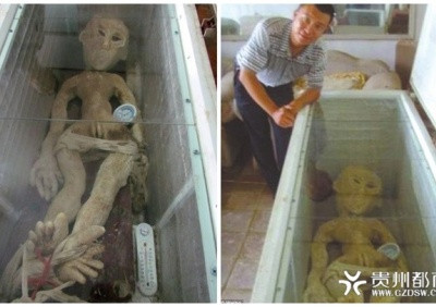 Vào tháng 6/2013, một nông dân Trung Quốc tên Li gây xôn xao dư luận khi khoe những bức ảnh chụp "xác người ngoài hành tinh" lên trên một trang website. Theo bài đăng, người này kể rằng đã bắt được sinh vật ngoài Trái đất khi đang đặt bẫy thỏ bằng điện ở bên sông Hoàng Hà.