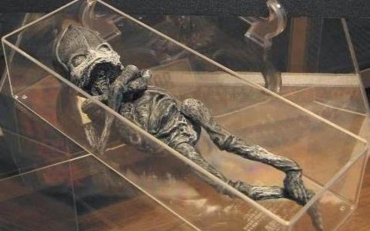 Trong thời gian bà Tamara vào viện để chữa bệnh tâm thần phân liệt, sinh vật đó chết. Về sau, nhà nghiên cứu bệnh học địa phương đã tiến hành kiểm tra xác sinh vật đó và xác nhận đó "không phải là con người". Tuy nhiên, một bác sĩ phụ khoa nhận định đó chỉ là một đứa trẻ dị dạng nghiêm trọng.