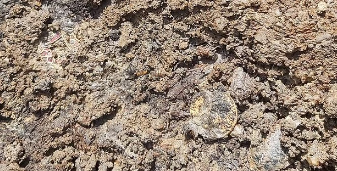 Các chuyên gia suy đoán 2 hũ gốm trong mộ có thể đến từ khu vực ngày nay là Pháp hoặc Bỉ. Họ hy vọng phân tích phân tử sẽ cho phép xác định loại cặn trong hũ gốm là gì.