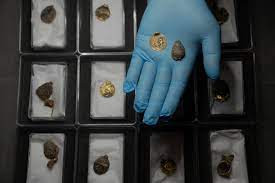 Bộ xương trong mộ cổ đã phân hủy hoàn toàn và chỉ còn xót lại những mẩu men răng nhỏ. Với việc phát hiện chiếc vòng cổ và các đặc điểm khác khiến nhóm khảo cổ tin chắc chủ nhân ngôi mộ là phụ nữ.