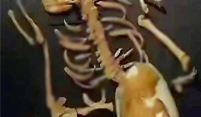 Sau khi nhận được tin báo từ các công nhân, đội ngũ các nhà khảo cổ tới hiện trường và suy đoán những cổ vật trên có thể đến từ một ngôi mộ cổ.