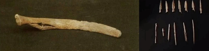 Việc thừa 18 mảnh xương khiến giới chuyên gia tò mò, cảm thấy khó hiểu vì sao người phụ nữ này được chôn cất trong tình trạng như vậy?. Thêm nữa, 18 mảnh xương đó là của con người hay động vật?