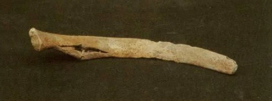 Vì vậy, các chuyên gia cẩn thẩn kiểm tra khu vực phát hiện các cổ vật trên và xác định đó thực sự là một ngôi mộ cổ khoảng 7.000 năm tuổi.