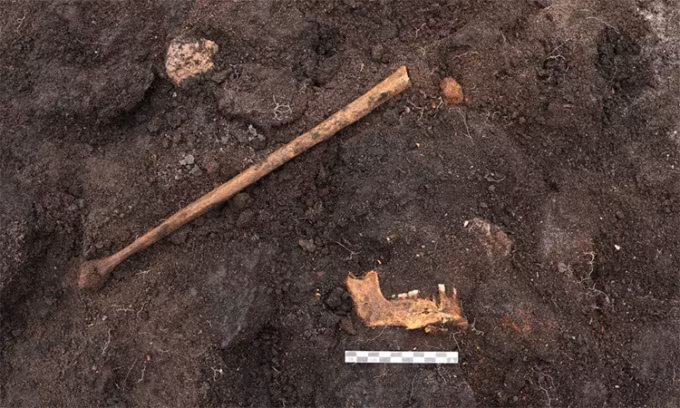 Ban đầu, nhóm chuyên gia chỉ tìm thấy một chiếc xương đùi, hàm dưới cùng vài chiếc răng, chân và xương chậu. Sau đó, họ phát hiện thêm phần còn lại của một chiếc rìu đá lửa và xương động vật.