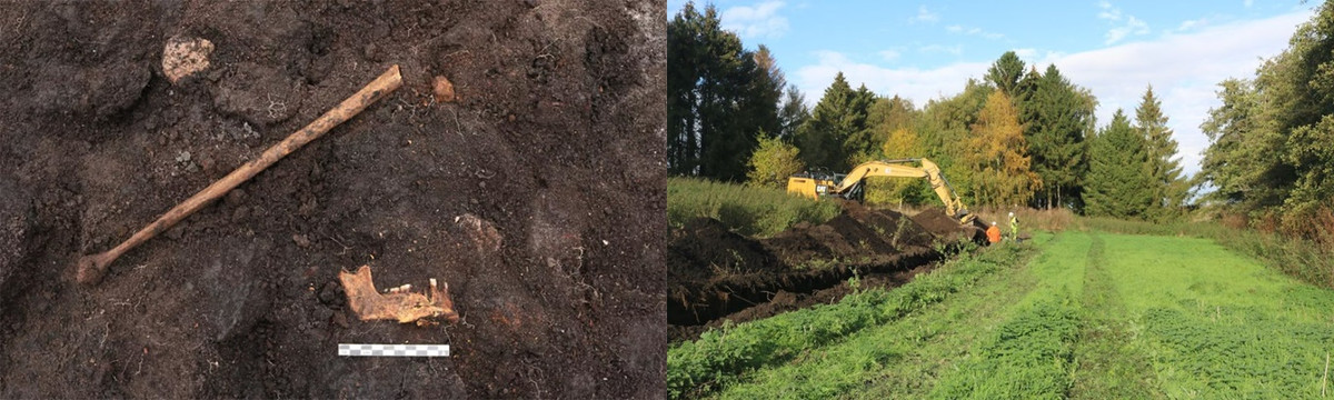 Luật pháp Đan Mạch quy định các chuyên gia cần tiến hành khảo sát khảo cổ ở khu vực trước khi xây một khu nhà mới. Nhờ vậy, những hài cốt đầm lầy được phát hiện.