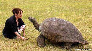 Các nhà khoa học từng nghiên cứu về rùa Jonathan nhằm xác định những lợi ích sức khỏe có thể thu được từ chế độ ăn và tế bào của nó.