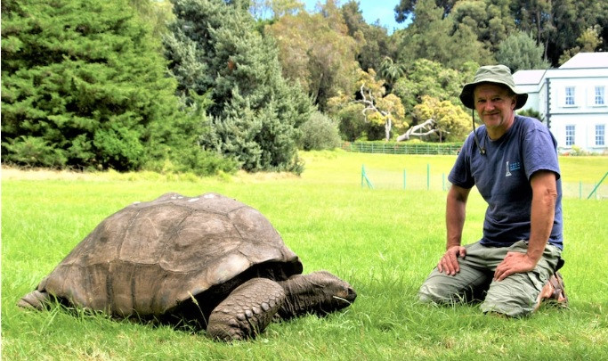 Hiện rùa Jonathan đã bị mù và mất khứu giác nhưng thính giác của nó vô cùng nhạy bén. Theo Kỷ lục Guiness Thế giới, động vật trên cạn sống lâu nhất thế giới này phản ứng tốt với giọng nói của bác sĩ thú y.