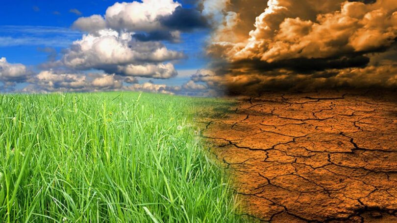 Theo ông Bradshaw , hiện tượng đồng tuyệt chủng là nguyên nhân chính dẫn đến mất đa dạng sinh học toàn cầu.