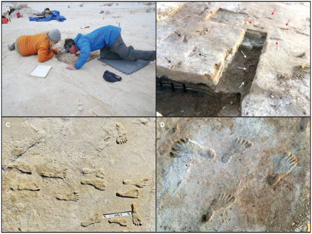 Người cổ đại để lại những dấu chân ở vùng nước nông. Sau đó, cát lấp đầy dấu chân của họ. Tuy nhiên, những dấu chân không hoàn toàn biến mất mà được lưu lại nhờ một lớp bùn nằm bên dưới.