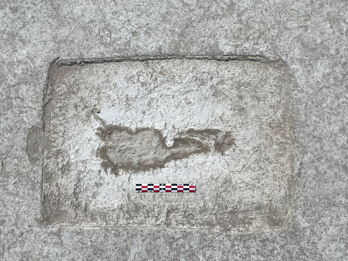 Từ đây, các chuyên gia tìm kiếm các sử liệu, ghi chép về sa mạc Great Salt Lake để giải mã những bí ẩn về các dấu chân kỳ bí trên.