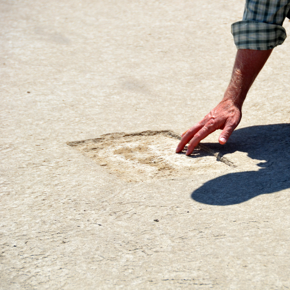 Việc các dấu chân chỉ xuất hiện sau khi trời mưa là vì khi nước mưa rơi xuống đất sẽ nhanh chóng được hấp thụ sâu vào lớp trầm tích bên dưới. Điều này khiến mặt đất trở lại với màu sắc bình thường vốn có, và những dấu chân in dưới lớp bùn sẫm màu sẽ hiện lên.