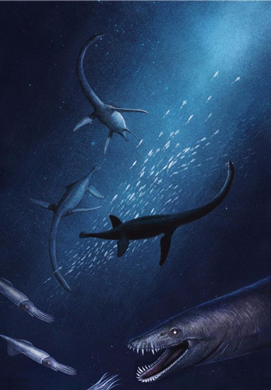 "Chúng tôi vô cùng phấn khích khi nhìn thấy hóa thạch này. Nó được xem như phiến đá Rosetta của ngành cổ sinh vật biển vì nó có thể nắm giữ "chìa khóa" giúp làm sáng tỏ sự đa dạng và tiến hóa của thằn lằn đầu rắn thuộc kỷ Phấn Trắng ở Australia", Tiến sĩ Knutsen cho biết.