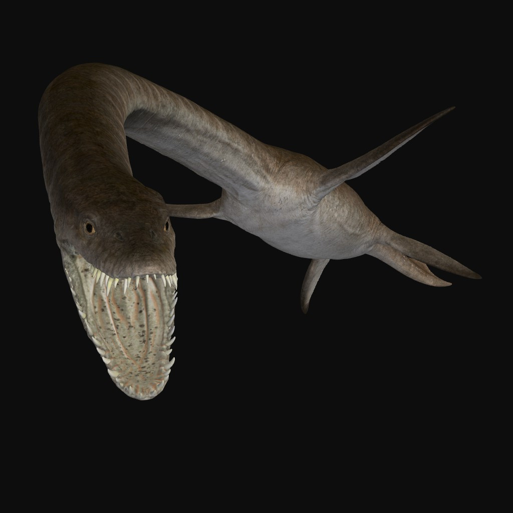 Việc tìm thấy hóa thạch của sinh vật đại dương cổ xưa, bao gồm cả các loài bò sát biển như plesiosaur và ichthyosaur (ngư long) trong thời gian qua ở Queensland góp phần giúp giới khoa học từng bước hoàn thiện về sơ đồ hệ sinh thái động thực vật tại vùng đất này.