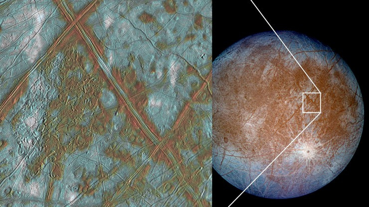 Nhiều sinh vật Trái Đất đã được tìm thấy ở các vùng nước tăm tối y hệt các đại dương ngầm ấy và có những cách tiến hóa riêng để thích nghi với tình hình thực tế.