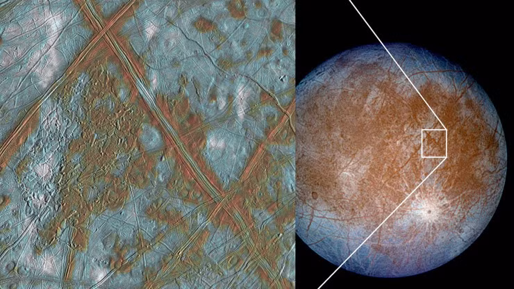 Nhiều sinh vật Trái Đất đã được tìm thấy ở các vùng nước tăm tối y hệt các đại dương ngầm ấy và có những cách tiến hóa riêng để thích nghi với tình hình thực tế.