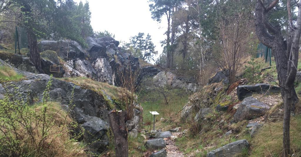 Thêm nữa, Yttrium còn được các nhà khoa học sử dụng trong sản xuất điện cực, chất điện phân, các bộ lọc điện tử, laser, chất siêu dẫn và nhiều ứng dụng y tế khác.