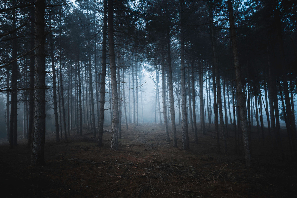 Dù giới chức trách nỗ lực tìm kiếm nhưng không tìm thấy bất cứ dấu vết nào giúp tìm ra các nạn nhân. Theo đó, người dân dần dần không dám sinh sống trên đảo Barsa-Kelmes hay lại gần nơi này.