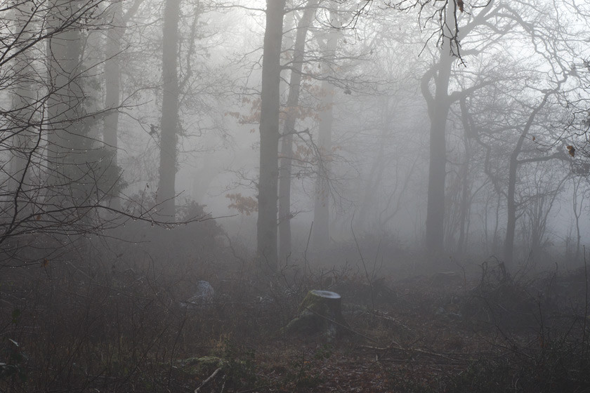 Khi mùa Xuân đã đến, những người đi đến đảo Barsa-Kelmes vẫn chưa trở về. Vì vậy, dân làng tổ chức cuộc tìm kiếm nhưng không tìm thấy bất cứ ai. Sau đó, họ nhờ giới chức trách tìm kiếm các nạn nhân.