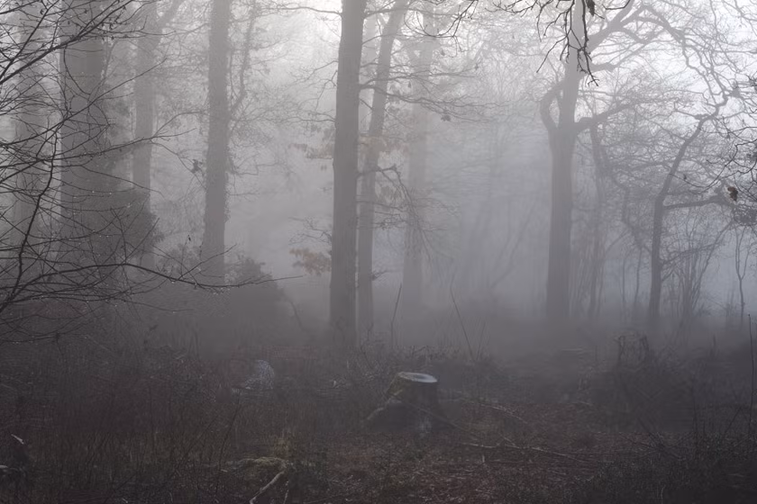 Khi mùa Xuân đã đến, những người đi đến đảo Barsa-Kelmes vẫn chưa trở về. Vì vậy, dân làng tổ chức cuộc tìm kiếm nhưng không tìm thấy bất cứ ai. Sau đó, họ nhờ giới chức trách tìm kiếm các nạn nhân.