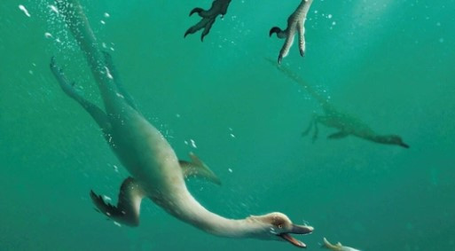 Theo kết quả nghiên cứu mới công bố, bộ xương hóa thạch thuộc loài khủng long có đặc điểm giống chim cánh cụt và ngỗng. Nó có số lượng răng rất lớn ở hệ tầng Baruungoyot, sa mạc Gobi, phía nam Mông Cổ.