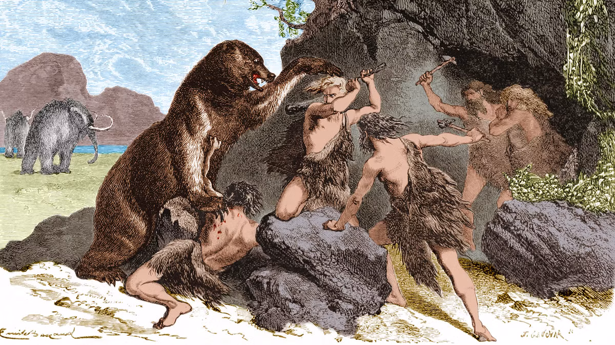 Các vết cắt rất mỏng được tìm thấy trên các mẫu vật cho thấy quá trình giết mổ động vật rất tinh vi và cho thấy sự tương đồng trong mô hình giết thịt với gấu từ các địa điểm thời kỳ đồ đá cũ khác trong khu vực.