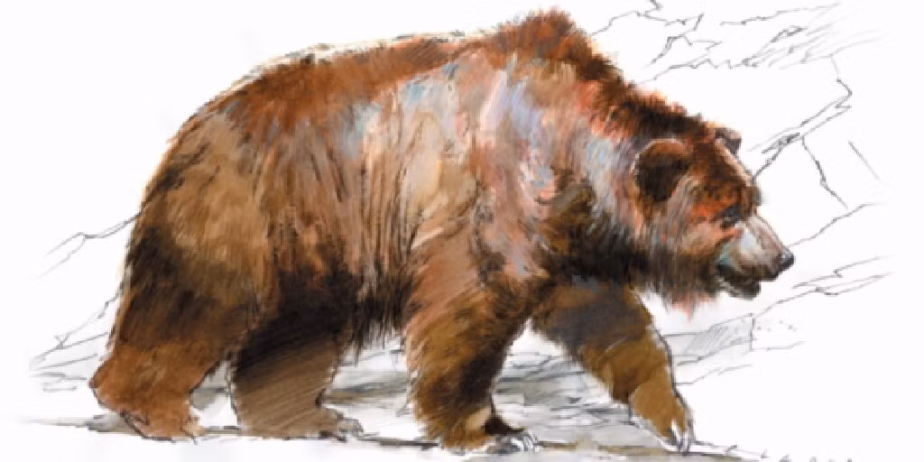 Theo Tiến sĩ Ivo Verheijen, trong trường hợp này, nhóm nghiên cứu có thể cho rằng, những vết cắt tinh xảo và chính xác như vậy là do việc lột da cẩn thận.