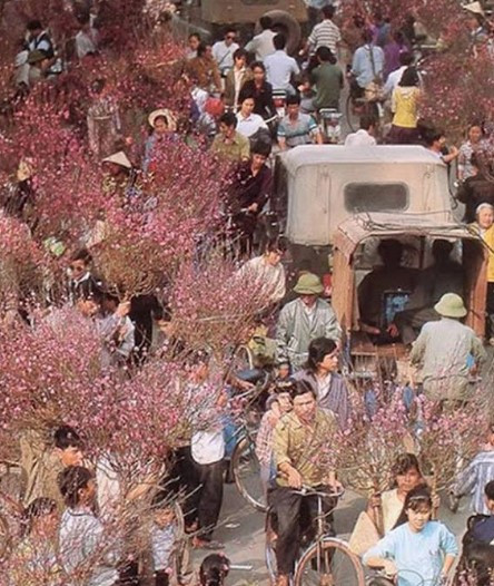 Khu phố bán hoa đào tấp nập người mua - bán tại Hà Nội thời bao cấp.