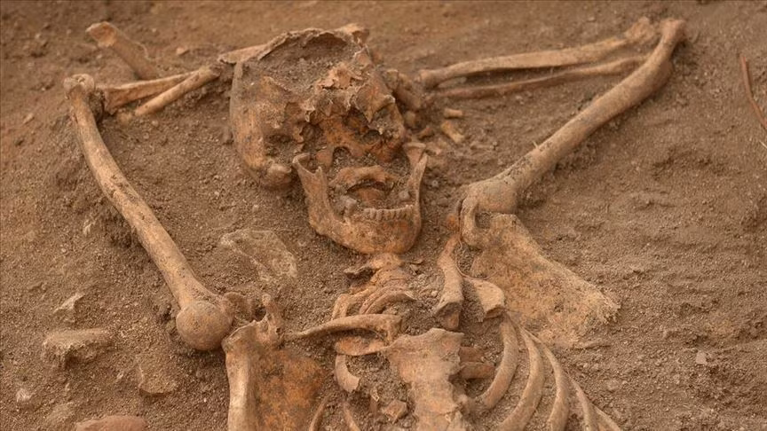 Không những vậy, những thi hài đó có hộp sọ rất lớn nhưng không có mắt, mũi, miệng.