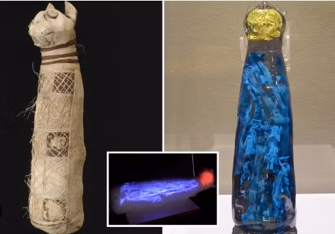 Bởi lẽ, người Ai Cập thời cổ đại đã ướp xác hàng triệu động vật như mèo, chó, cá sấu... Trong số này, một số xác ướp thuộc về một con vật hoàn chỉnh. Đôi khi, xác ướp động vật chỉ chứa một số bộ phận của con mèo như xương sống, tứ chi...