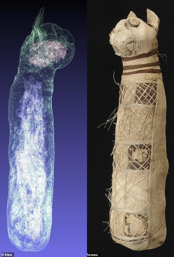 Bảo tàng Mỹ thuật ở Rennes, Pháp lưu giữ và trưng bày một xác ướp mèo của người Ai Cập cổ đại. Khi tiến hành kiểm tra, chụp CT, các chuyên gia tại Viện nghiên cứu khảo cổ dự phòng quốc gia Pháp (INRAP) đã phát hiện bí mật bất ngờ về những gì bên trong lớp vải bọc mà không làm hư hại xác ướp mèo.