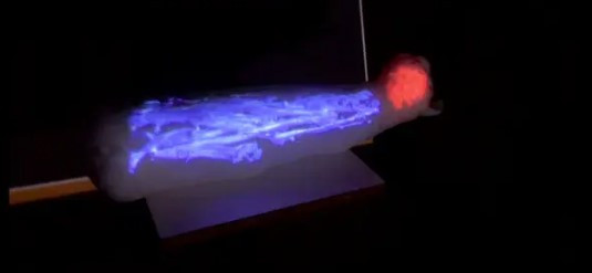 Thậm chí, một số xác ướp được bọc cẩn thận và công phu. Đến khi kiểm tra, chụp CT thì các nhà nghiên cứu phát hiện bên trong là xác của nhiều con vật cùng loại được ướp xác giống như xác ướp mèo được bảo quản tại Bảo tàng Mỹ thuật ở Rennes.