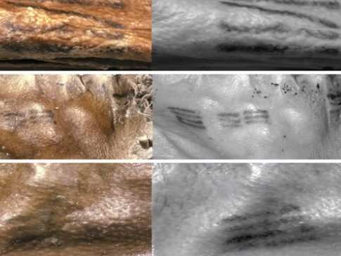 Do đó, một số nhà nghiên cứu tin rằng, Otzi xăm những hình xăm đó như một phương pháp điều trị cổ xưa để giảm đau.