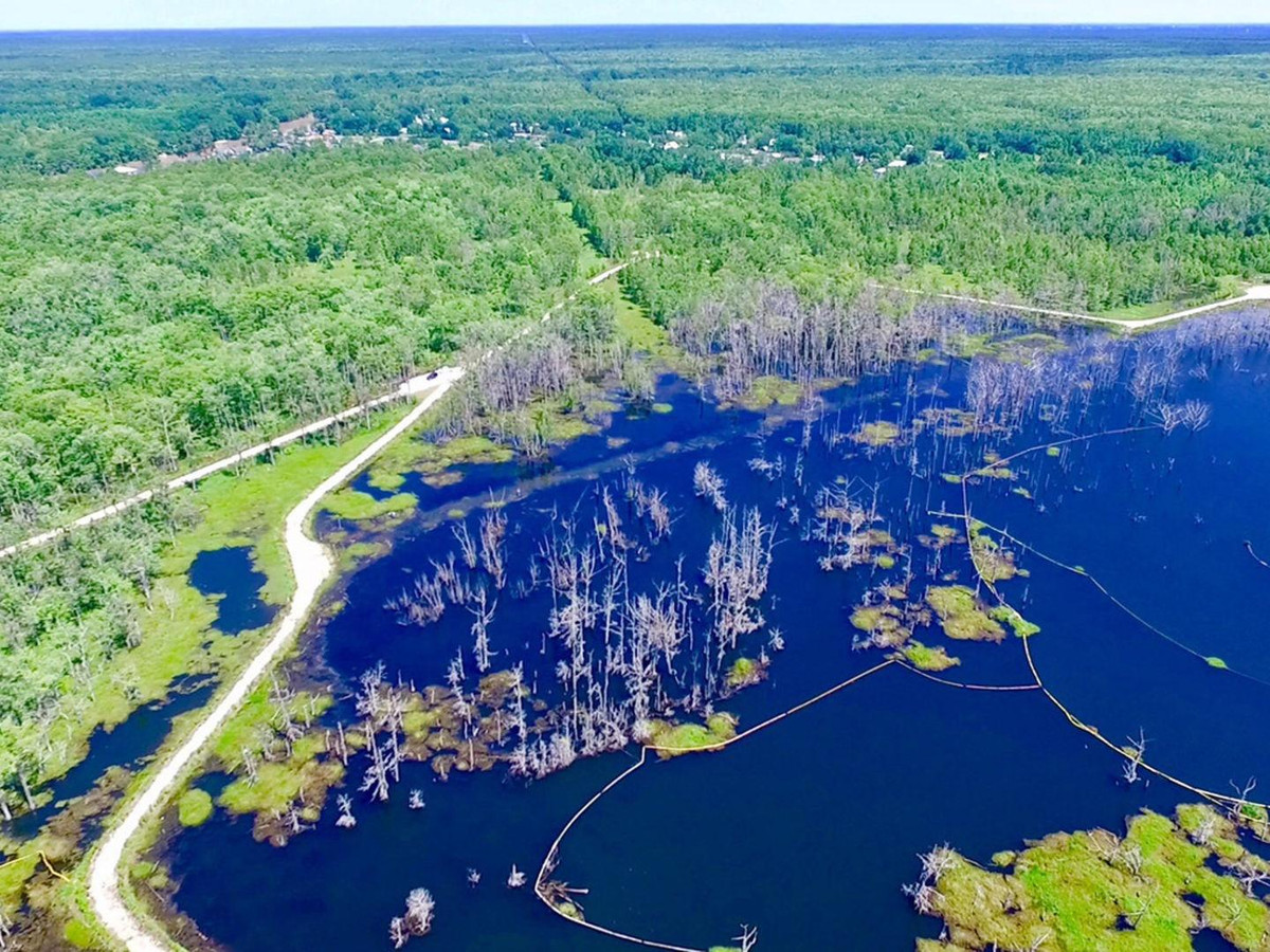 Giới chức trách đã mời các chuyên gia địa chất, nhà khoa học tới khảo sát nhằm tìm hiểu điều gì đang xảy ra ở đầm lầy Bayou Corne. Tuy nhiên, họ không tìm được câu trả lời.