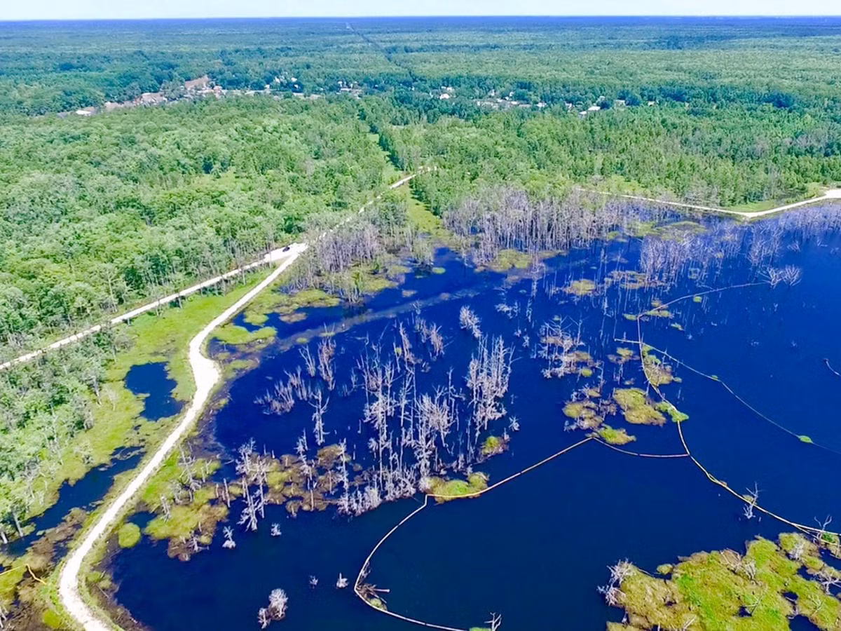 Giới chức trách đã mời các chuyên gia địa chất, nhà khoa học tới khảo sát nhằm tìm hiểu điều gì đang xảy ra ở đầm lầy Bayou Corne. Tuy nhiên, họ không tìm được câu trả lời.