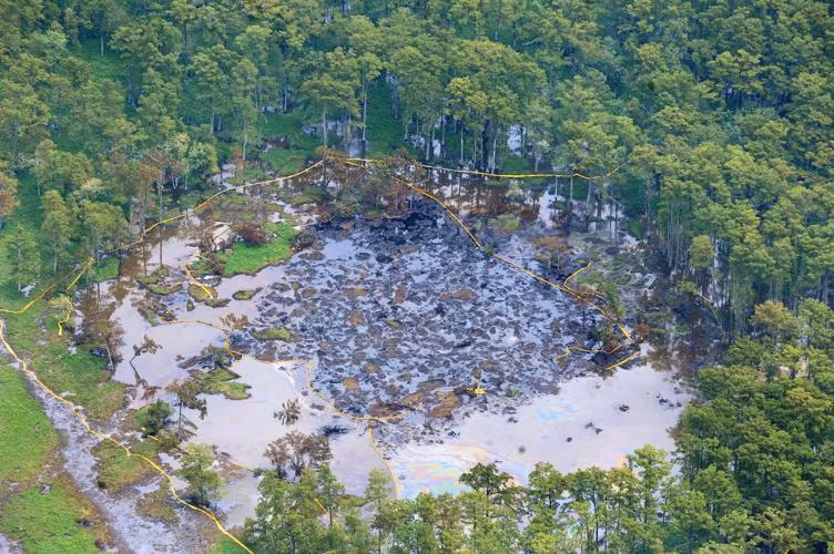 Bi an vung dam lay “nuot cay” khien chuyen gia roi nao
