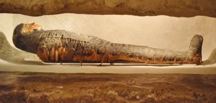 "Người được chôn cất cùng với bức chân dung đắt tiền như vậy chắc chắn thuộc tầng lớp trung lưu hoặc thượng lưu", trưởng nhóm Gehad nhận định.