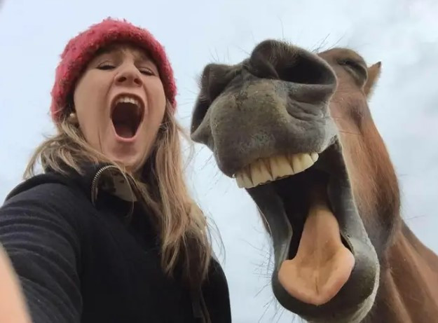 Chủ và thú cưng cùng selfie khiến nhiều người ngạc nhiên, thú vị vì có động tác, thần thái khá tương đồng. Khi xem bức ảnh này, nhiều người phải thốt lên: "Chủ nào tớ nấy".