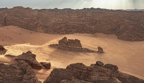 Trước nhiều ý kiến trái chiều của cư dân mạng, anh Al Enazi nhấn mạnh khối đá "Cá sa mạc" được hình thành từ đá sa thạch và chịu tác động từ quá trình phong hóa mài mòn trong thời gian dài nên có hình dáng đặc biệt như vậy.