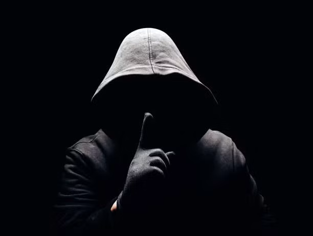 Khi trò chuyện với các nhân chứng đã nhìn thấy UFO và người ngoài hành tinh, những người đàn ông mặc đồ đen tự xưng là nhân viên chính phủ. Tuy nhiên, các hành động của họ khiến các nhân chứng càng hoài nghi hơn.