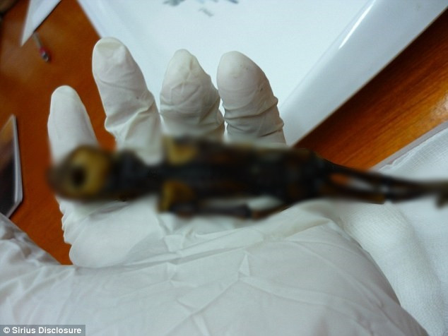 Trong đó, xác ướp Ata có kích thước rất nhỏ với chiều dài chỉ 15 cm nhưng có hình dáng giống con người. Thêm nữa, xác ướp gây chú ý với hộp spj dài, hốc mắt lớn. Điều này khiến nhiều người hoài nghi đó có thể là xác người ngoài hành tinh.