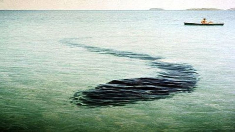 "Quái vật đảo Hook" là một trong những hình ảnh bí ẩn nhất mọi thời đại. Bức ảnh này được chụp vào năm 1964. Khi ấy, nhiếp ảnh gia người Pháp Robert Serec chụp được một vật thể màu đen trông giống như một con rắn khổng lồ trên biển Queensland, Australia. Một số người cho rằng đó có thể là một tấm vải nhựa hay thứ gì đó tương tự. Trong khi đó, một giả thuyết cho rằng đó có thể là quái vật biển mà con người chưa biết đến. Đến nay, giới khoa học vẫn chưa tìm ra lời giải thích xác thực cho bức ảnh kỳ bí này.