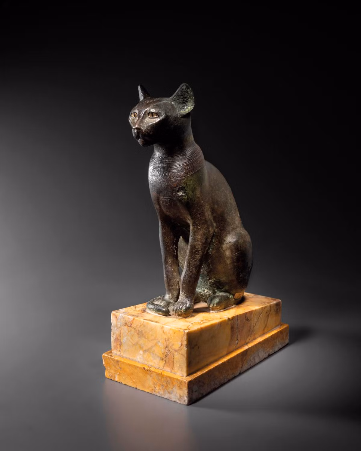 Thêm nữa, việc tìm thấy các xác ướp mèo cũng giúp giới khoa học giải mã những bí mật liên quan đến đời sống của người Ai Cập, bao gồm cách ướp xác động vật giúp chúng nguyên vẹn theo thời gian.