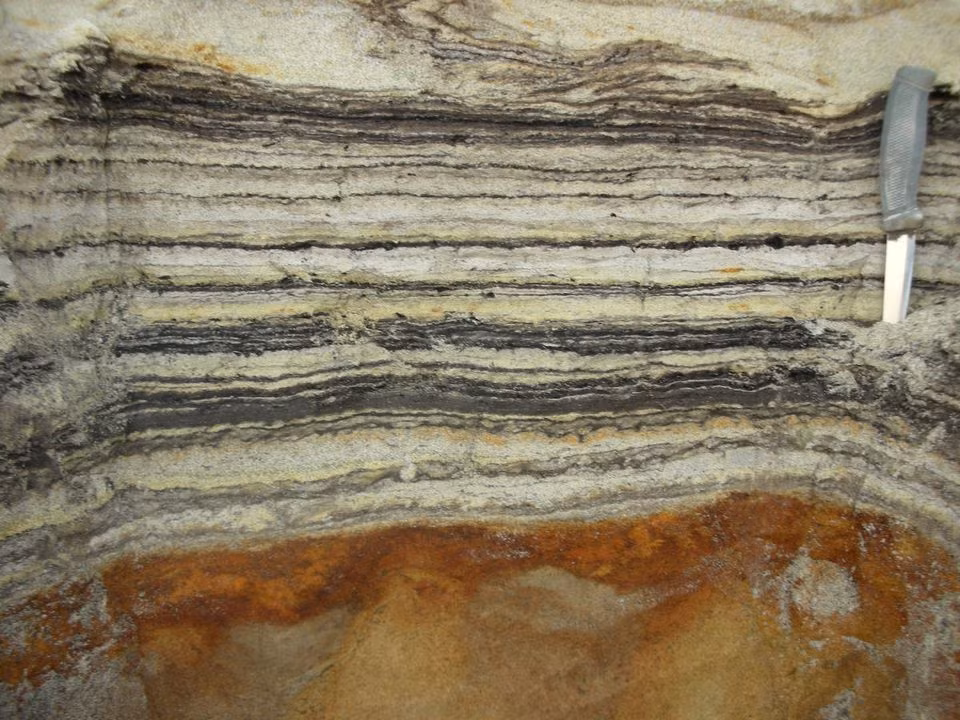 Theo các chuyên gia, những chuỗi ADN siêu nhỏ được phát hiện trong đất sét và thạch anh bao gồm hơn 100 loài động, thực vật như voi răng mấu, tuần lộc, thỏ rừng, vượn cáo, ngỗng cùng thực vật, cây dương xỉ và các vi sinh vật như vi khuẩn và nấm.