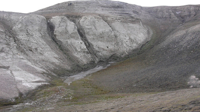 Giáo sư Willerslev cho biết các chuỗi ADN rời rạc, bị phân hủy thành các mảnh rất nhỏ nên không thể sử dụng nhằm "hồi sinh" các loài đã tuyệt chủng.