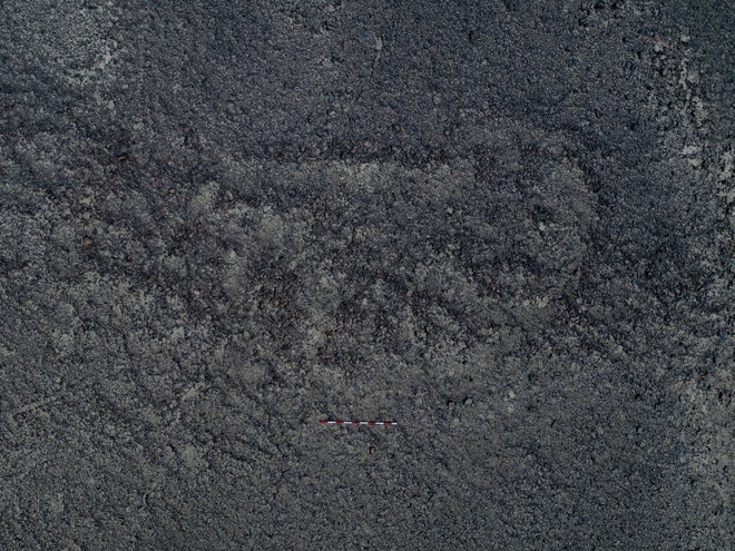 Phát hiện mới được cho là có thể cung cấp thông tin quan trọng về các tác phẩm nghệ thuật bí ẩn thời tiền Columbo. Những hình vẽ bí ẩn này đã thu hút giới chuyên gia và du khách trong nhiều thập kỷ qua.